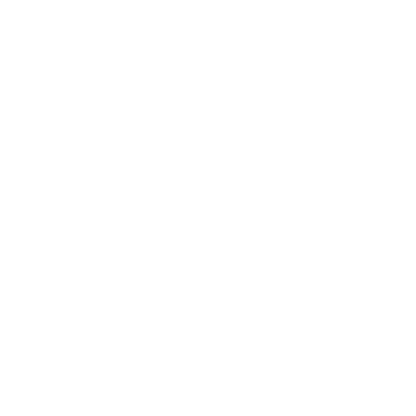 Web Spider Logo #ffffff