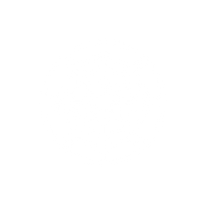 Spider Web Logo #ffffff
