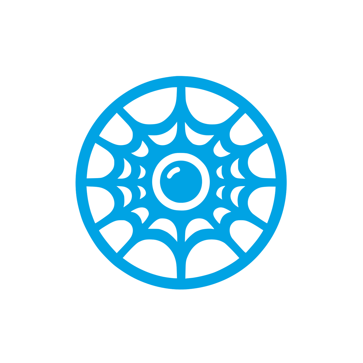 Spider Web Logo #00a3e4