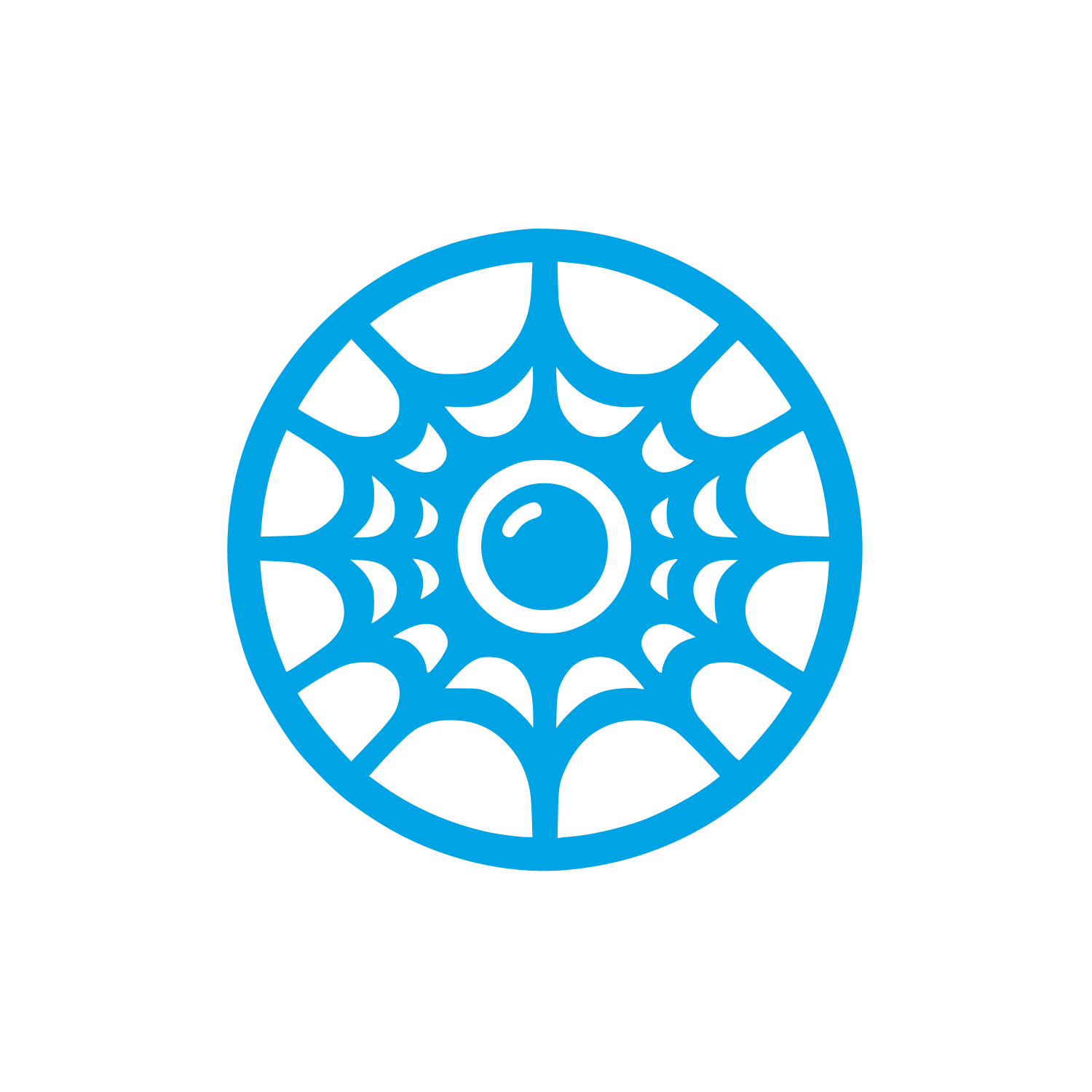 Spider Web Logo #00a3e4