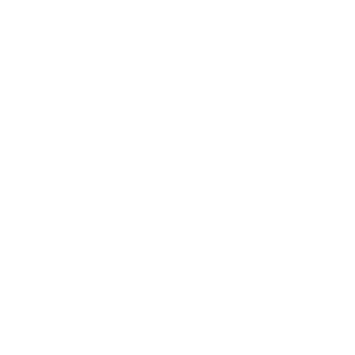Spider Web Logo #ffffff