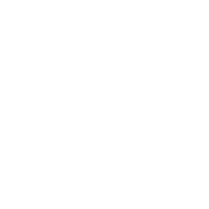 Spider Web Logo #ffffff