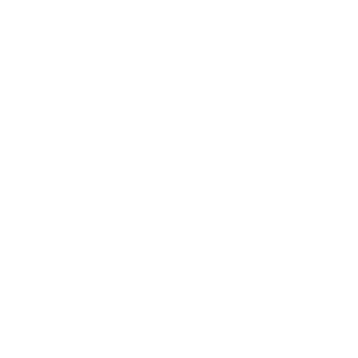Dynamic Spoon Logo #ffffff