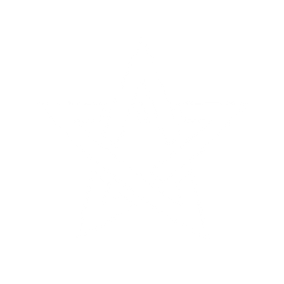 Abstract Star Logo #ffffff