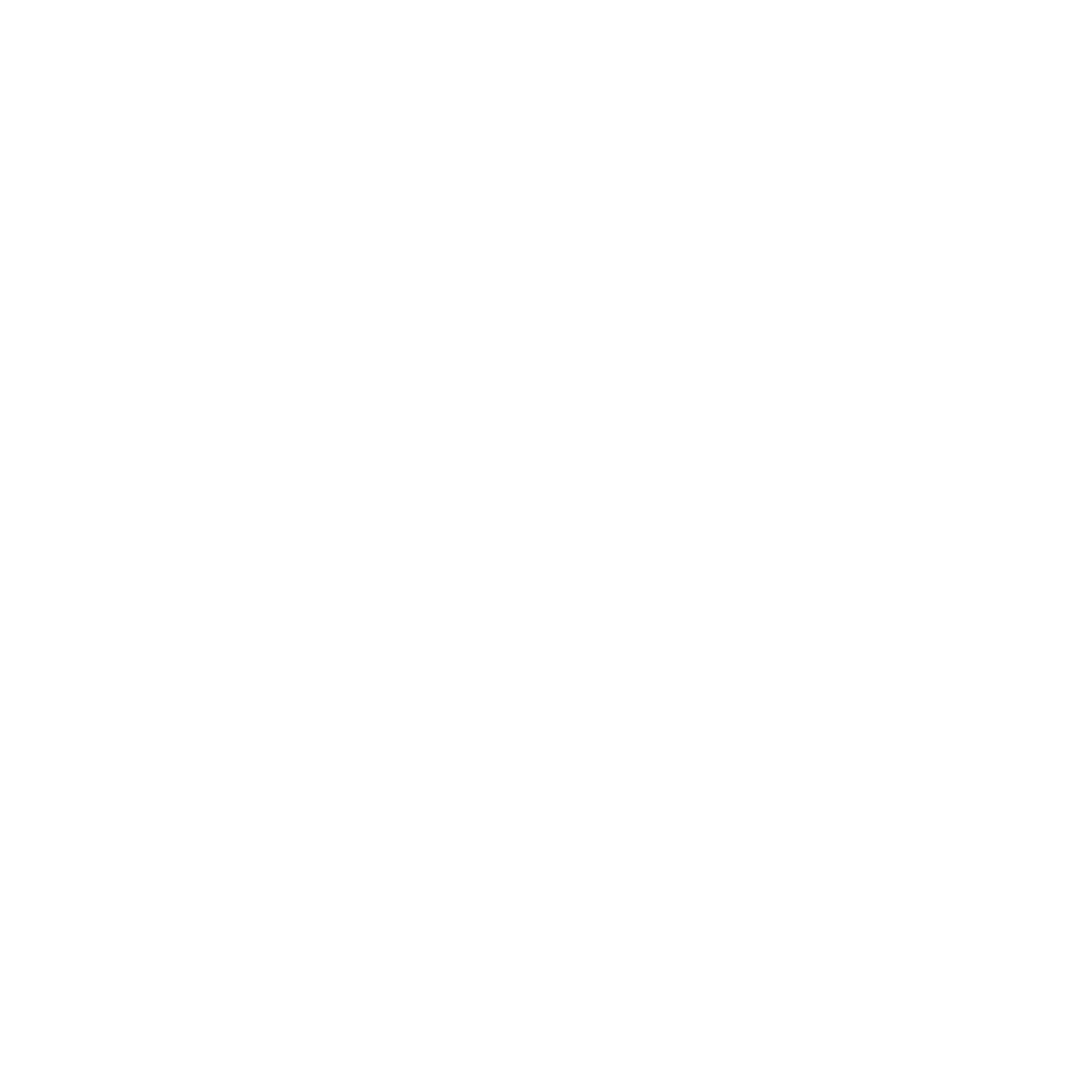 Lightning Bolt Logo #ffffff