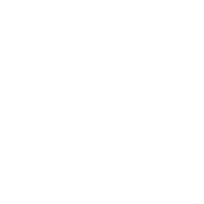 Bolt Logo #ffffff