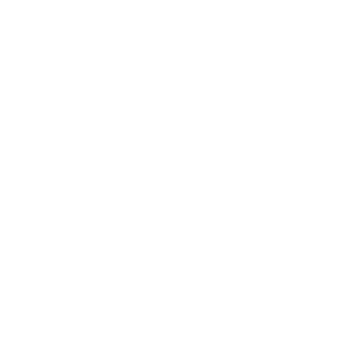 Lightning Bolt Logo #ffffff