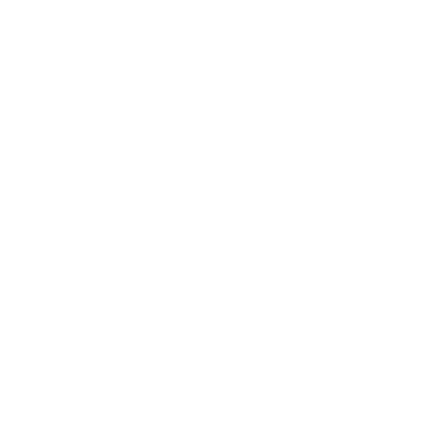 Electric Bolt Logo #ffffff
