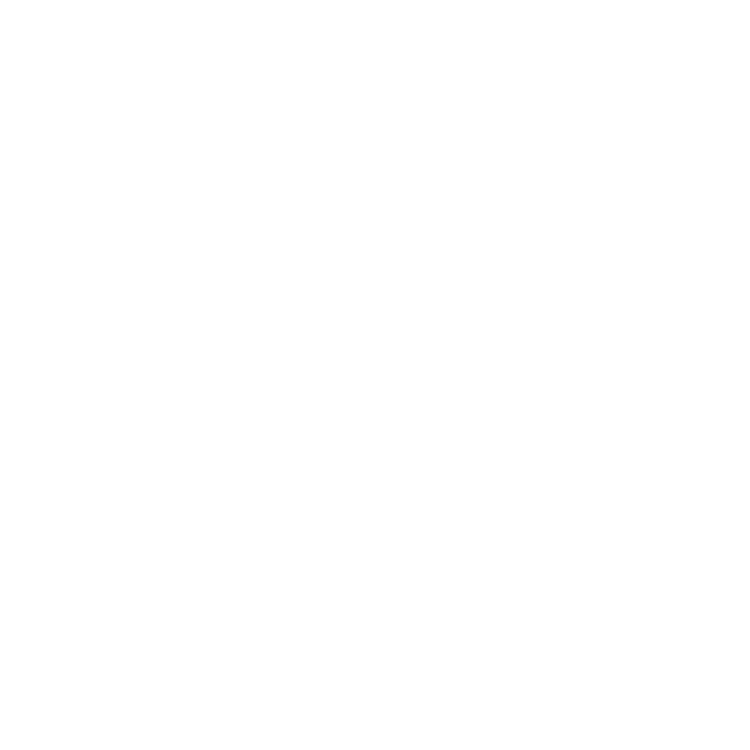 Sunshine Graphic Logo #ffffff