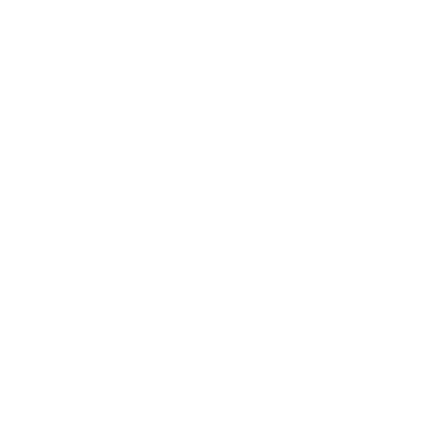 Sunburst Circle Logo #ffffff