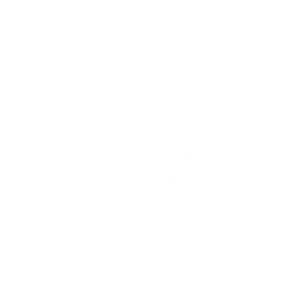 Sunburst Circle Logo #ffffff