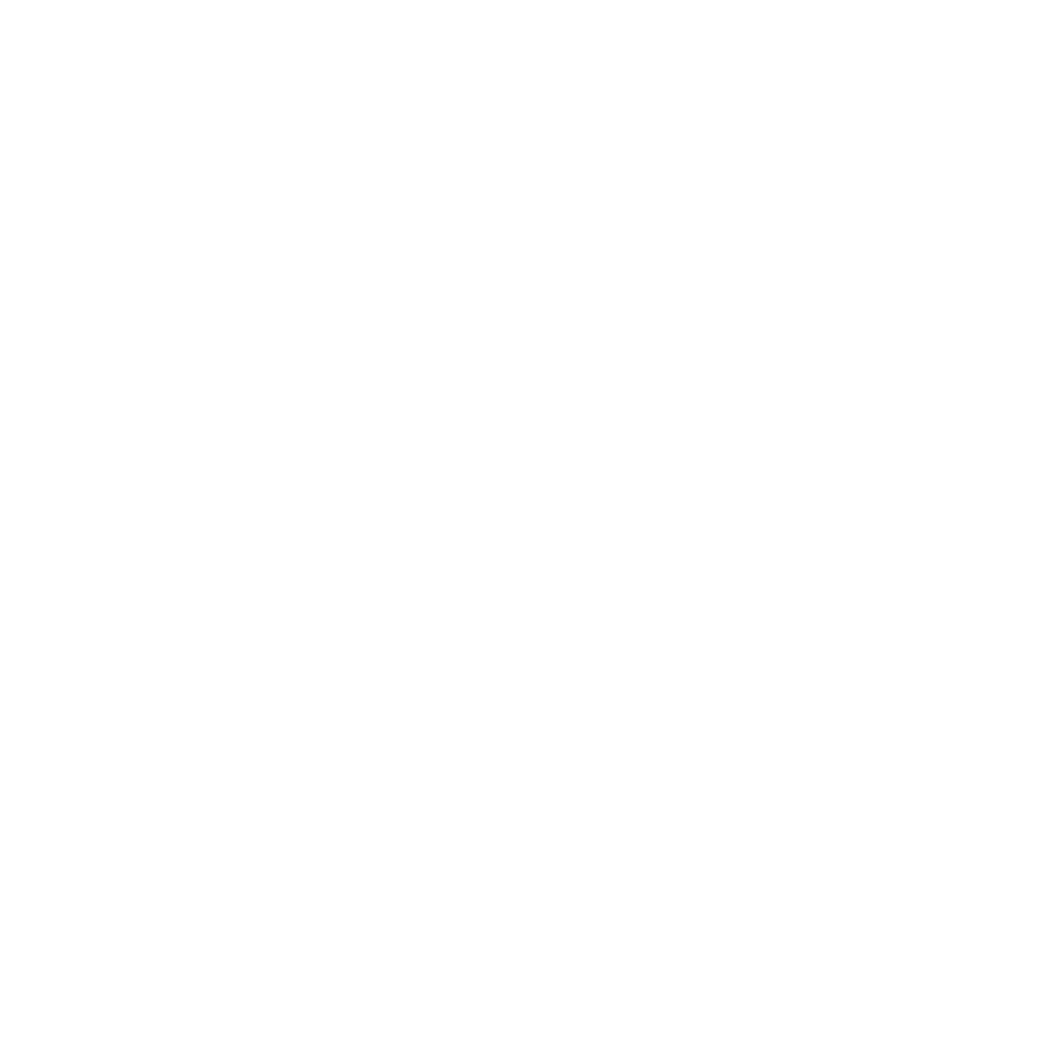 Sun Tribal Logo #ffffff