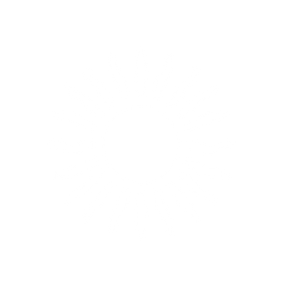 Sunburst Logo Design #ffffff