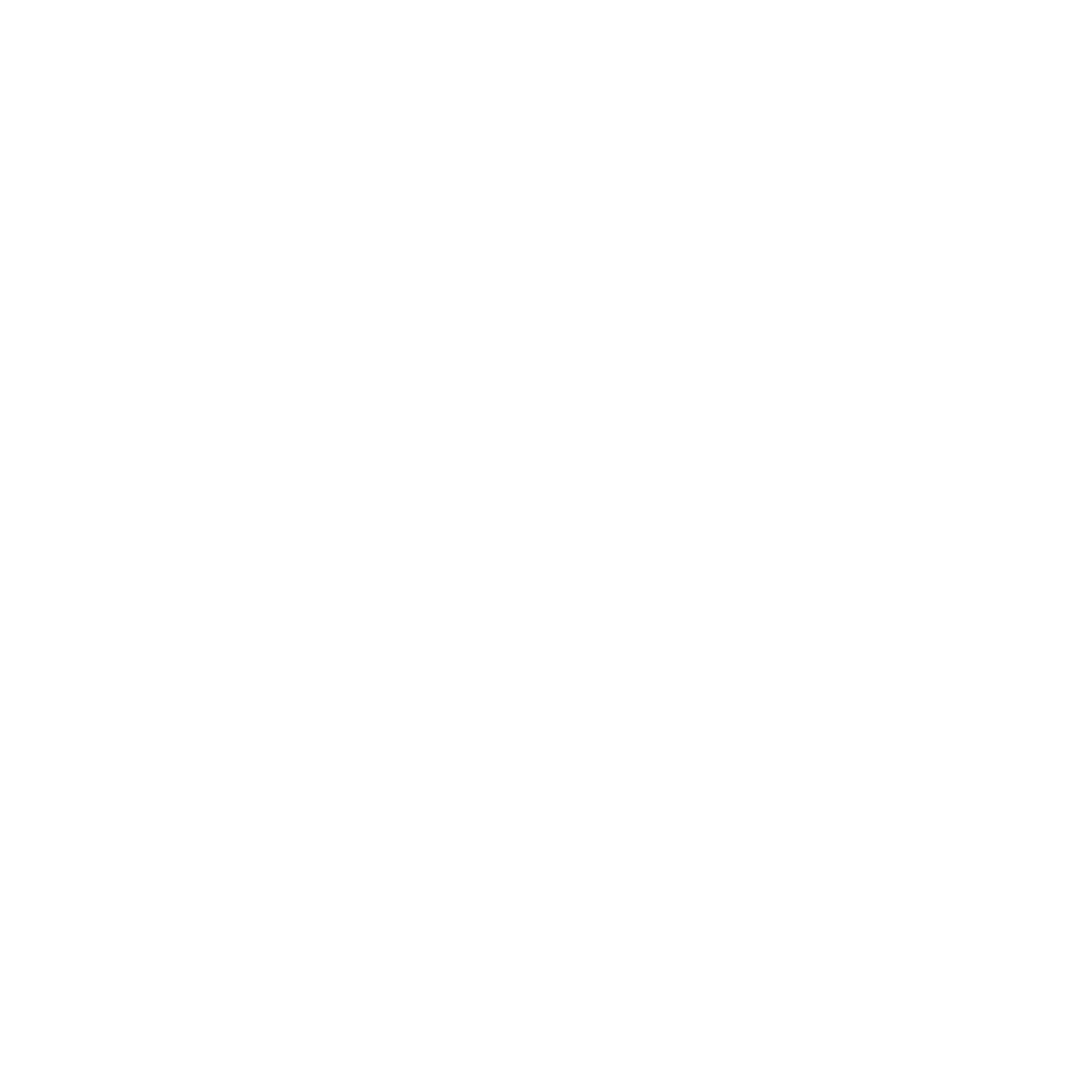 Wallet Circuitry Logo #ffffff