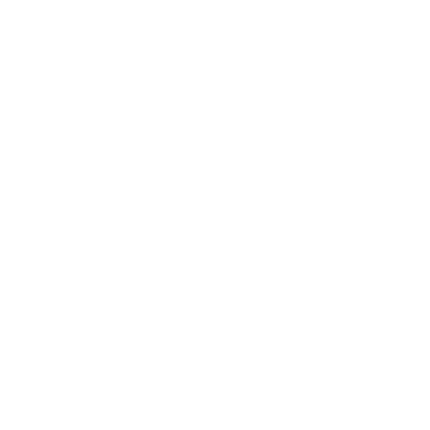 Wallet Logo #ffffff