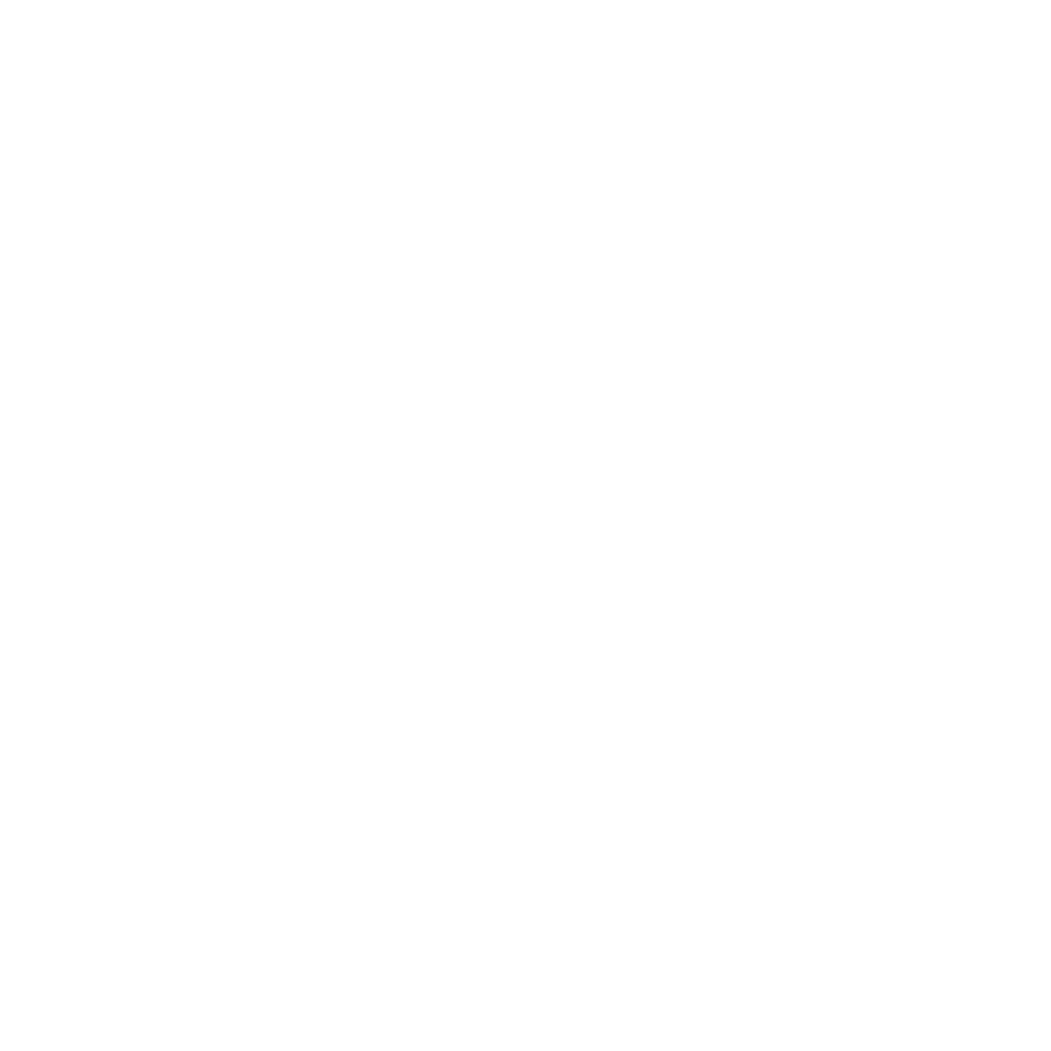 Wallet Security Logo #ffffff