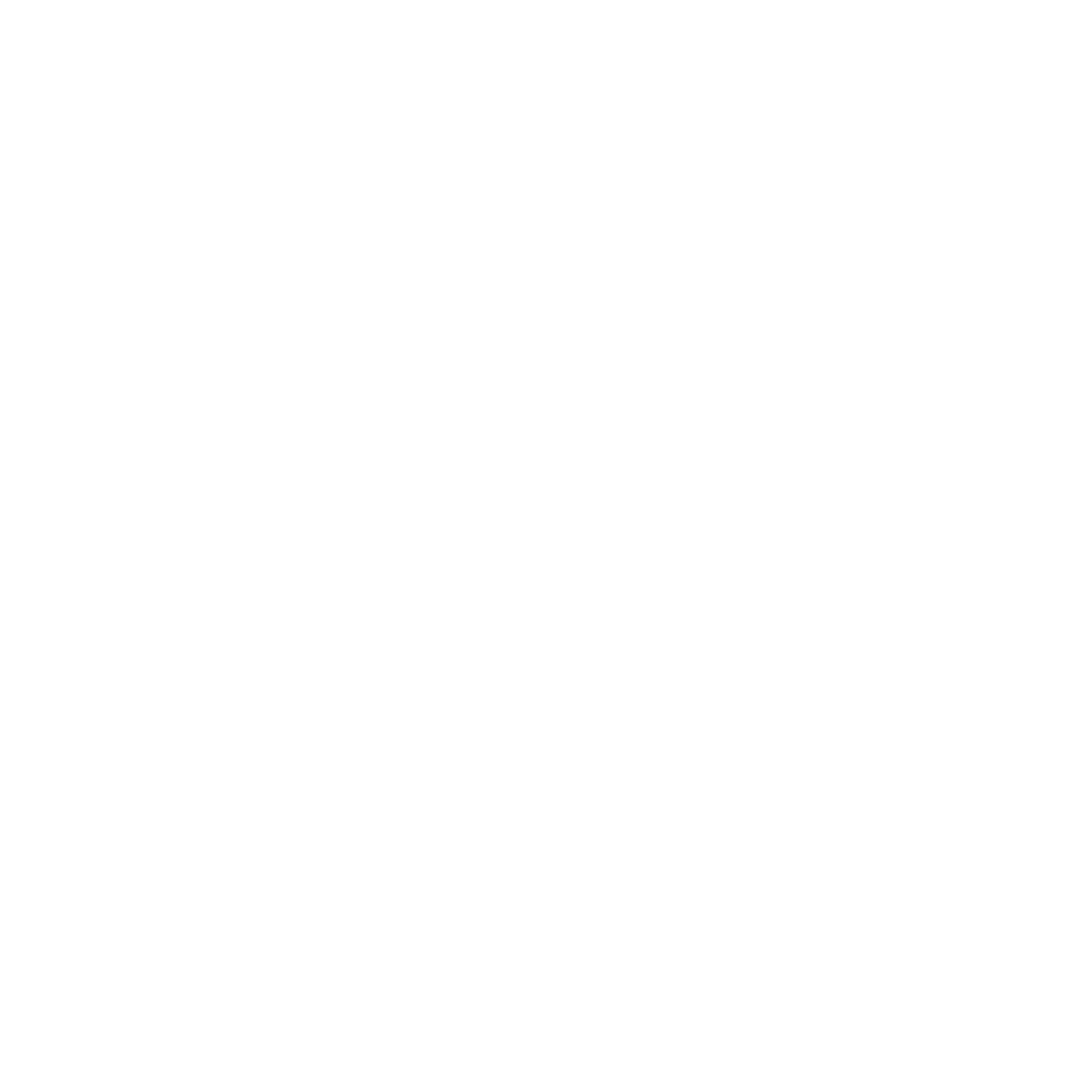 Wedge Play Logo #ffffff