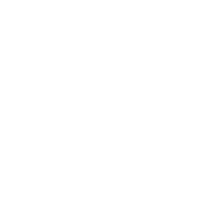Wedge Play Logo #ffffff