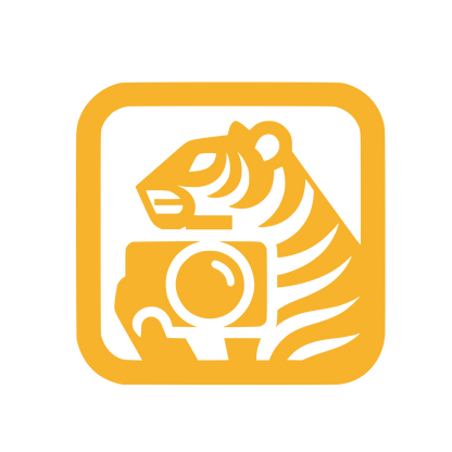 Tiger Camera Logo #F7B32B