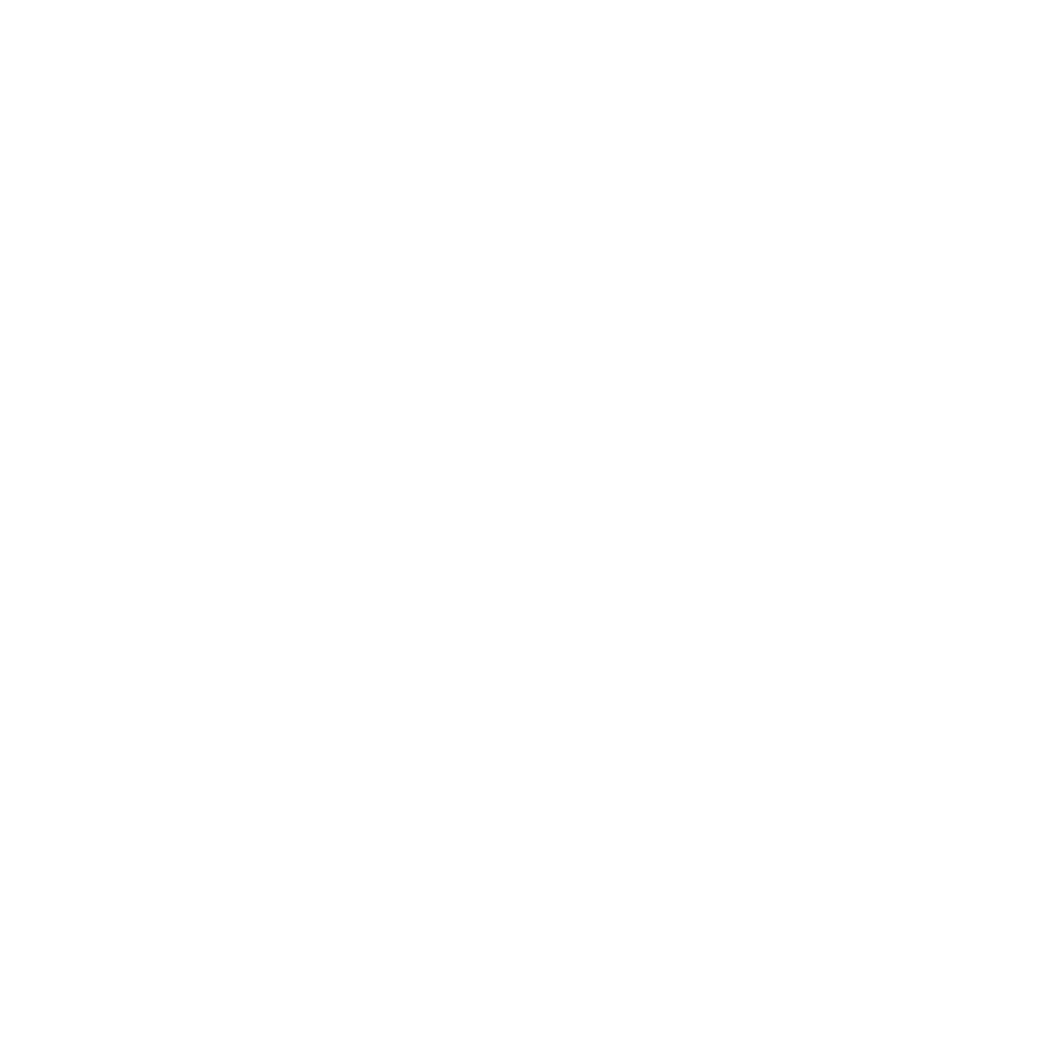 Wheel Logo #ffffff