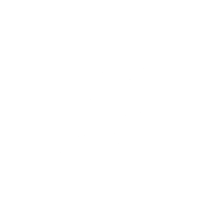 Serpentine Logo Design #ffffff
