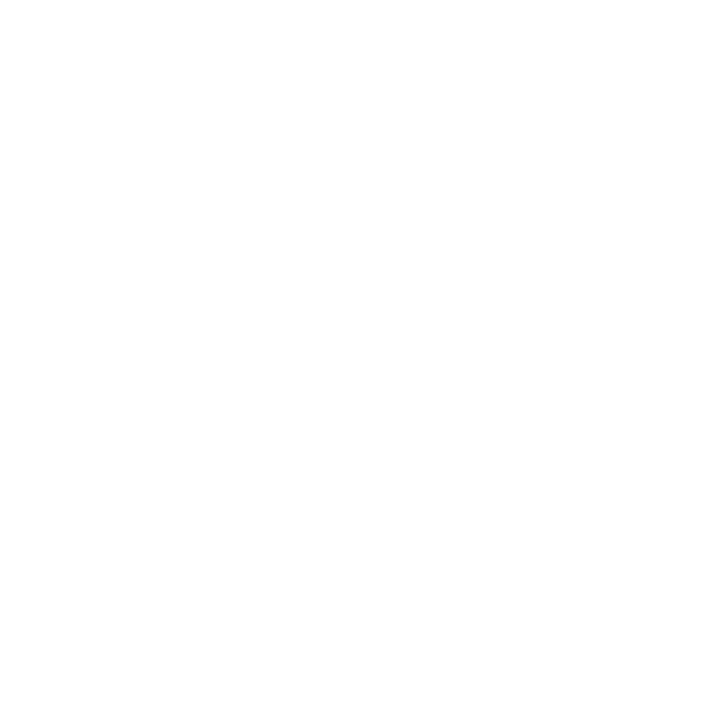Shuttlecock Logo Design #ffffff
