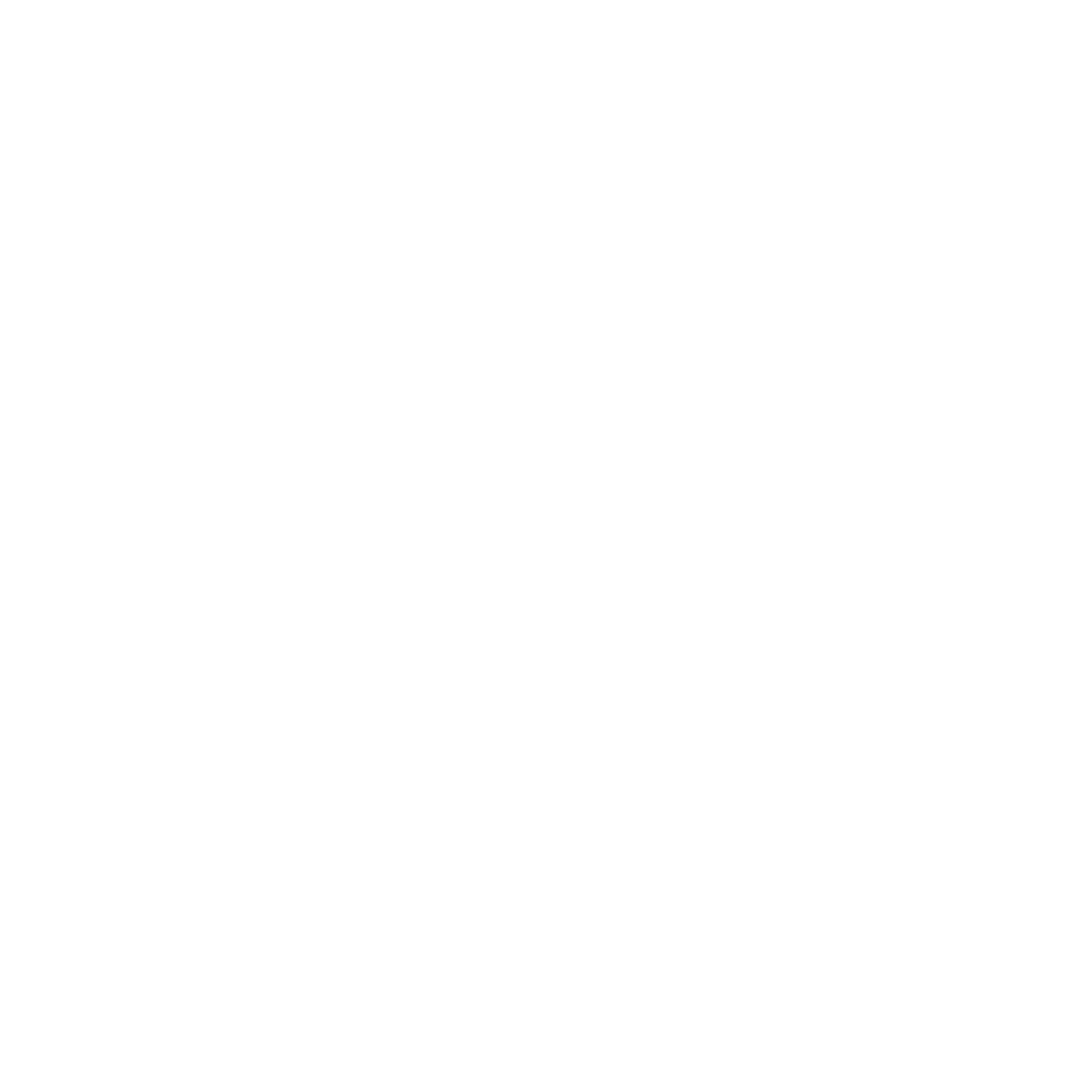 Environmental Globe Logo #ffffff