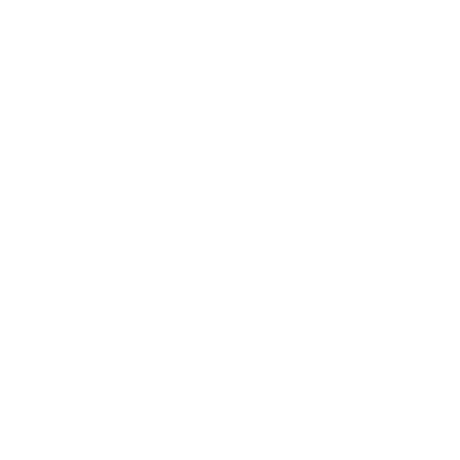 Intricate Knotwork Logo #ffffff
