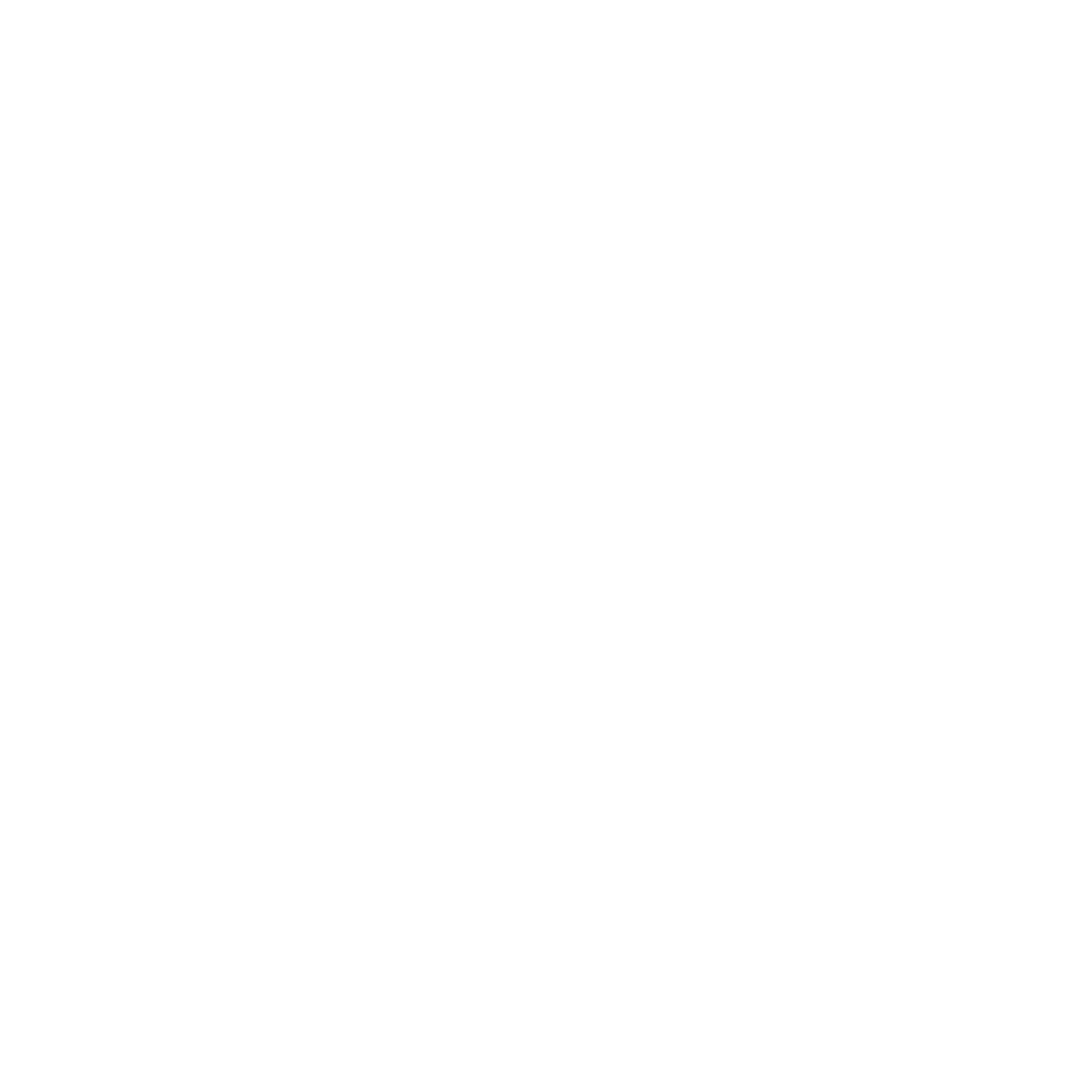 Swoosh Circle Monoline Icon #ffffff