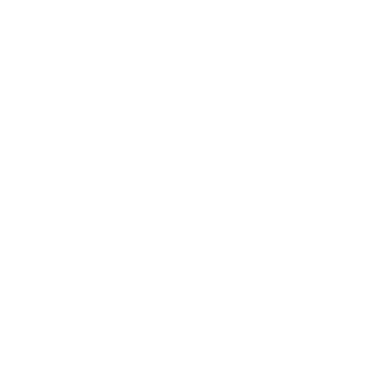 Bold Butterfly Logo #ffffff
