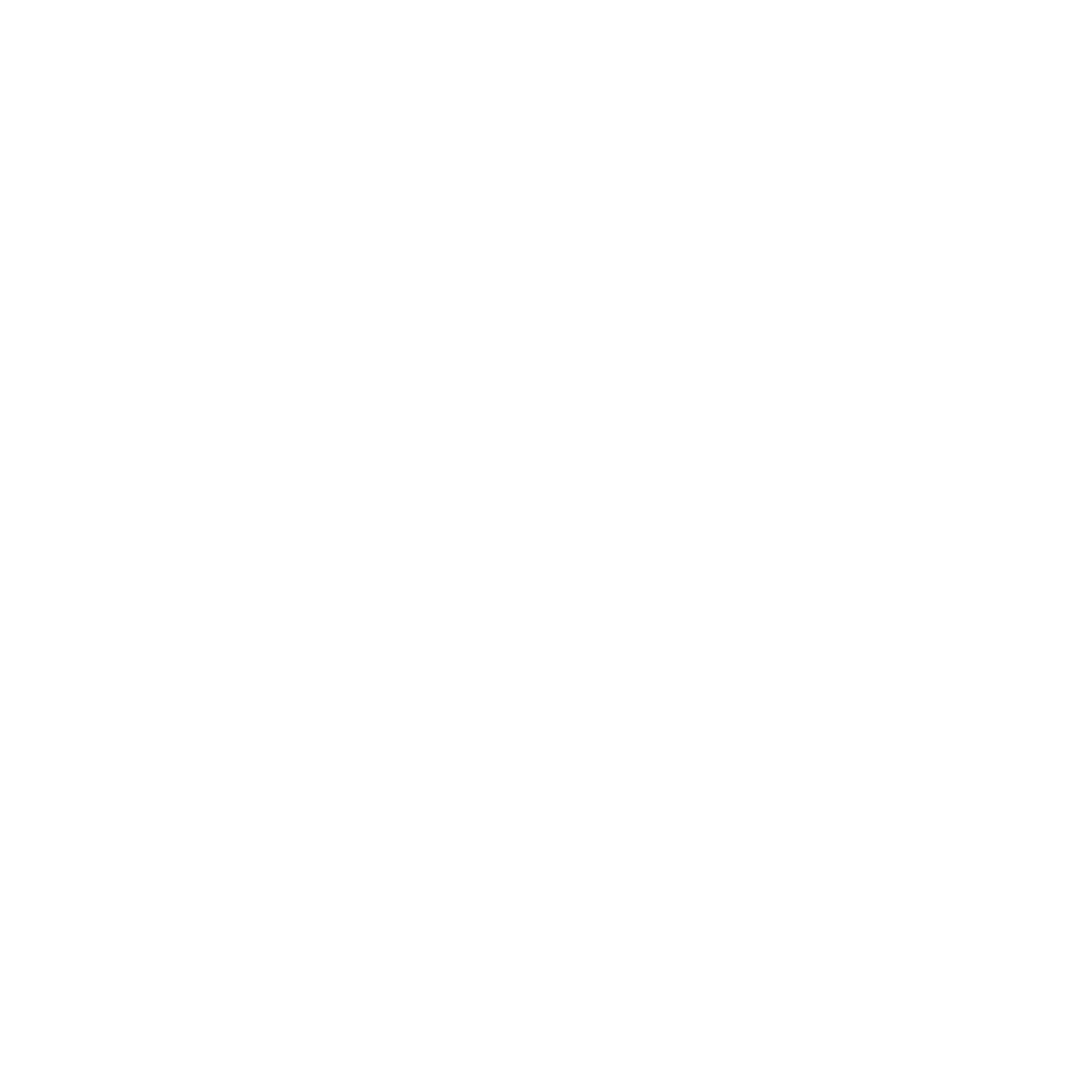 Geometric Circle Ring Icon #ffffff