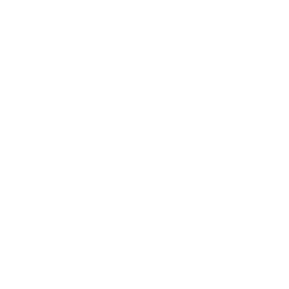 Geometric Circle Ring Icon #ffffff