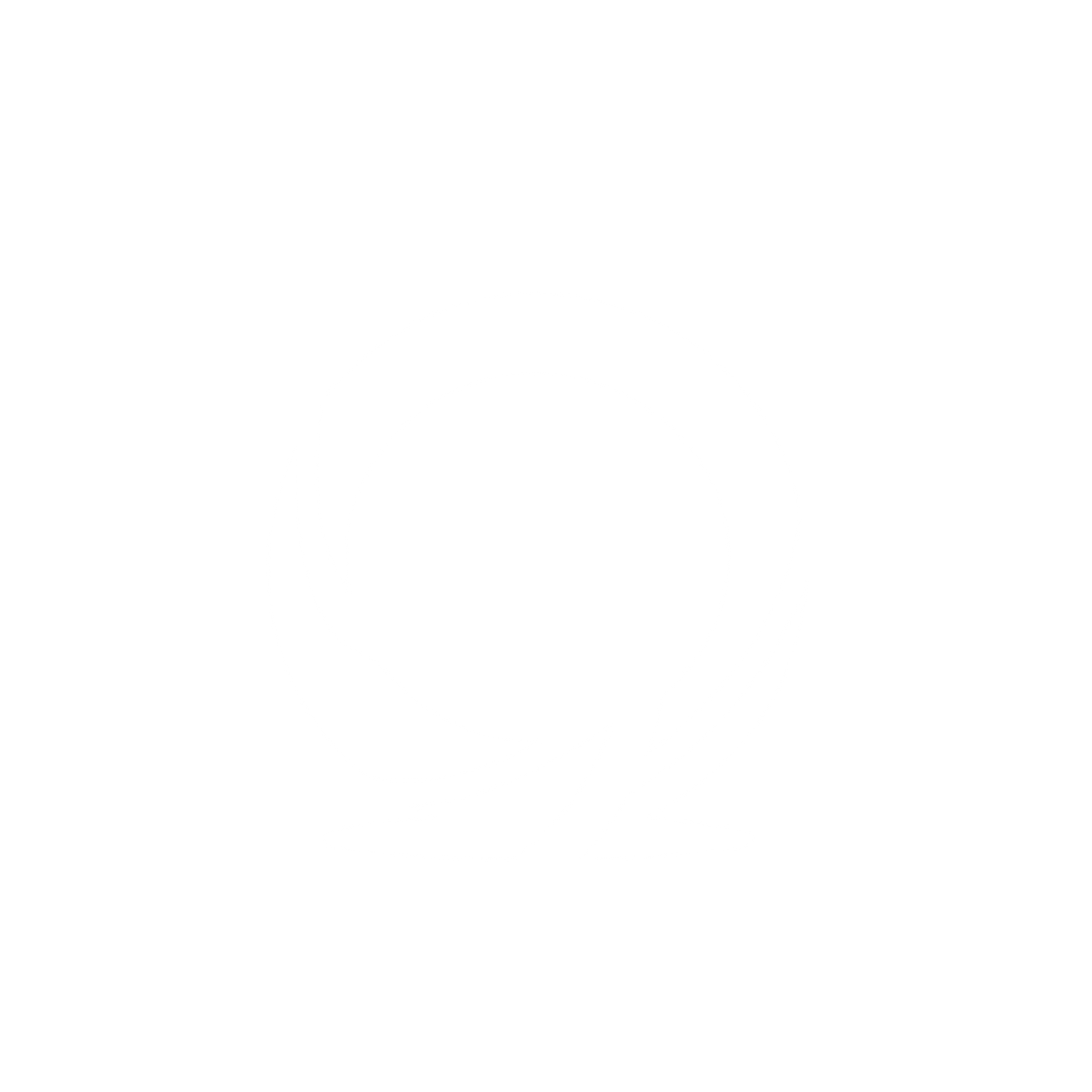 Black Ring Logo #ffffff