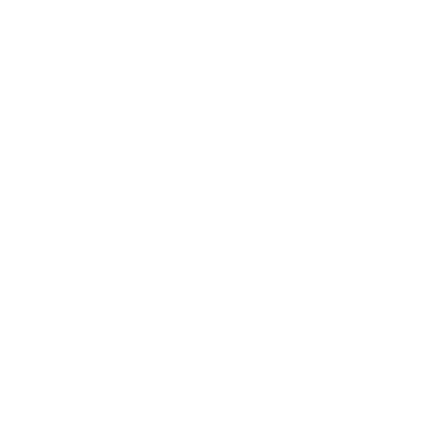 Black Ring Logo #ffffff