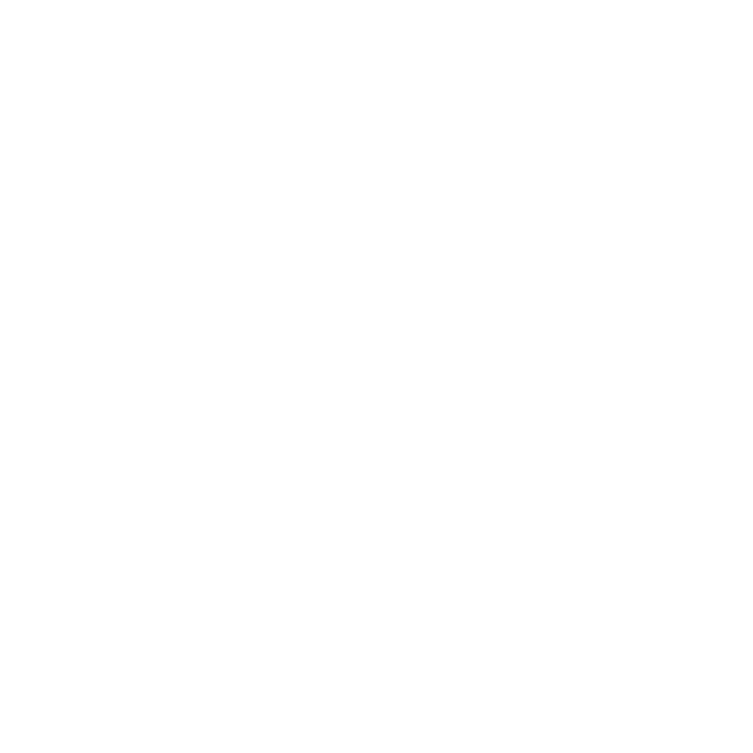 Flame Logo #ffffff