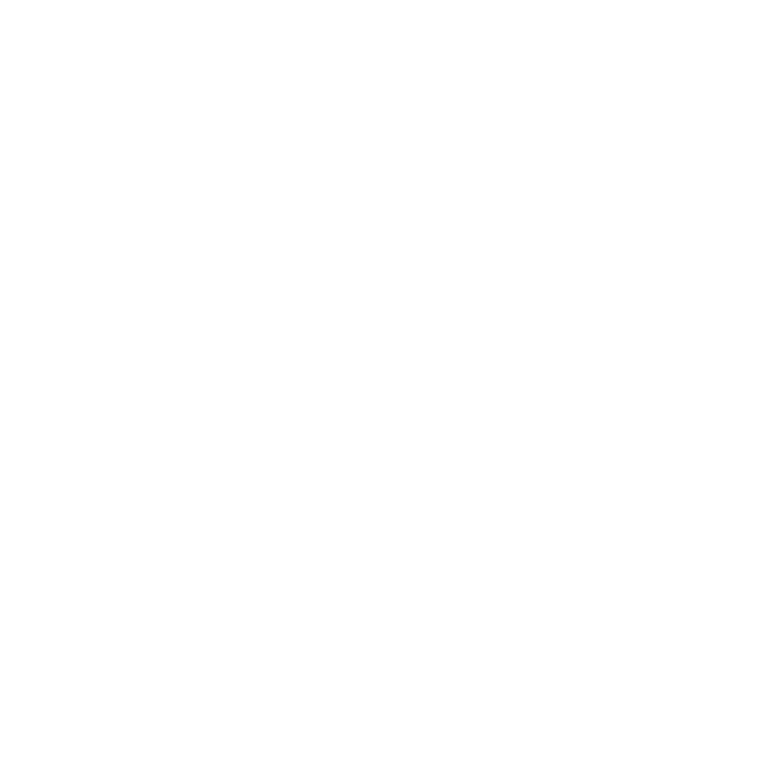 Shoe Brand Logo #ffffff