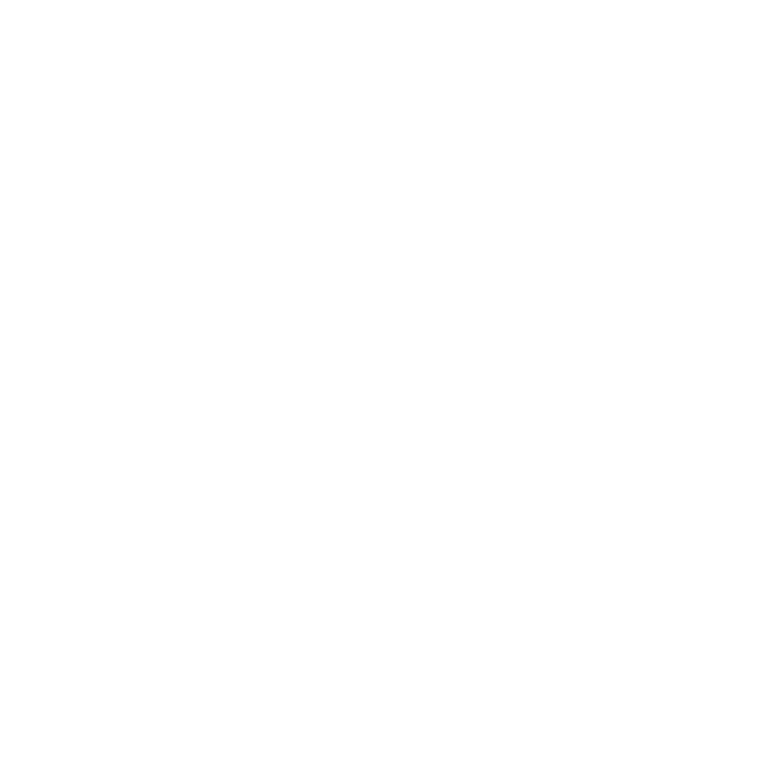Shoe Logo Design #ffffff