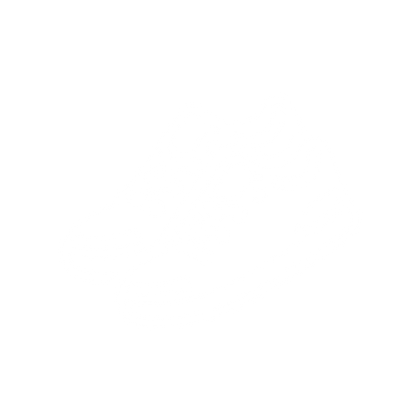 Shoe Logo Design #ffffff
