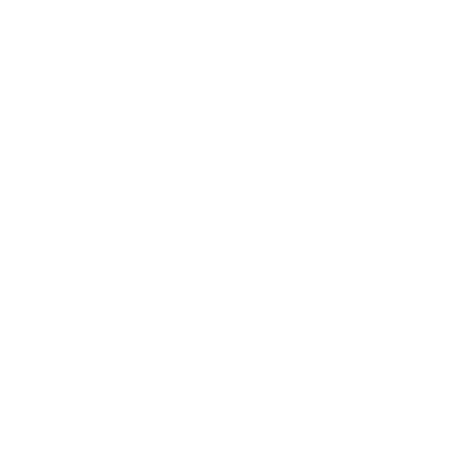 Shoe Logo Design #ffffff