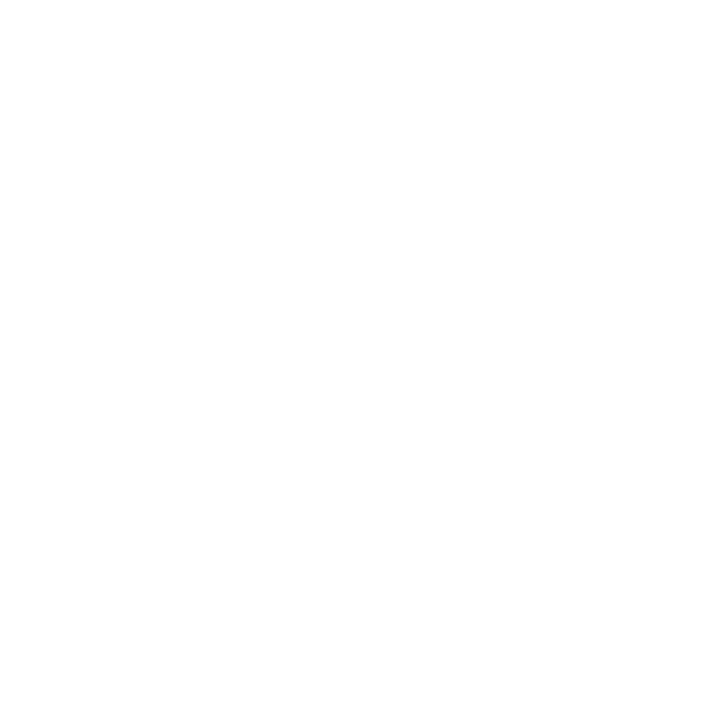 Logo for Security Service #ffffff