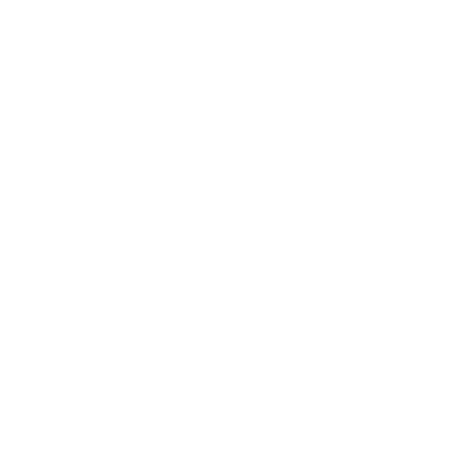 Bag Logo Design #ffffff