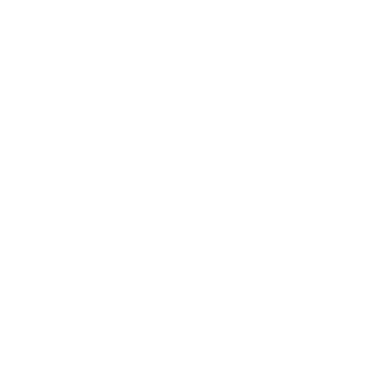Logo with Flames #ffffff