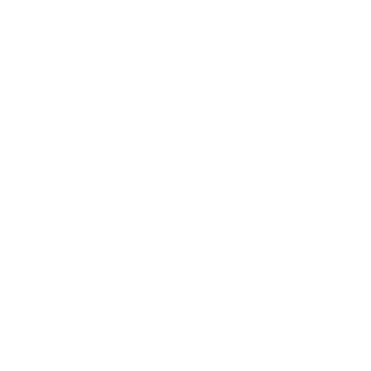 Wave Logo #ffffff