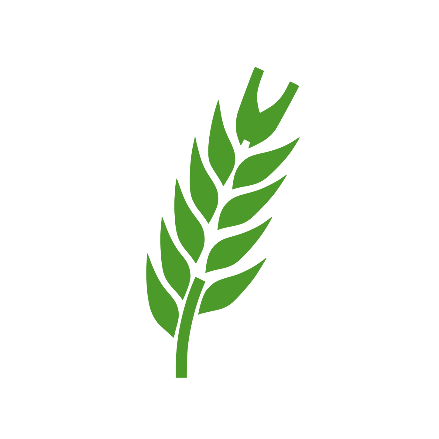 Wheat Stalk Logo #4C9A2A