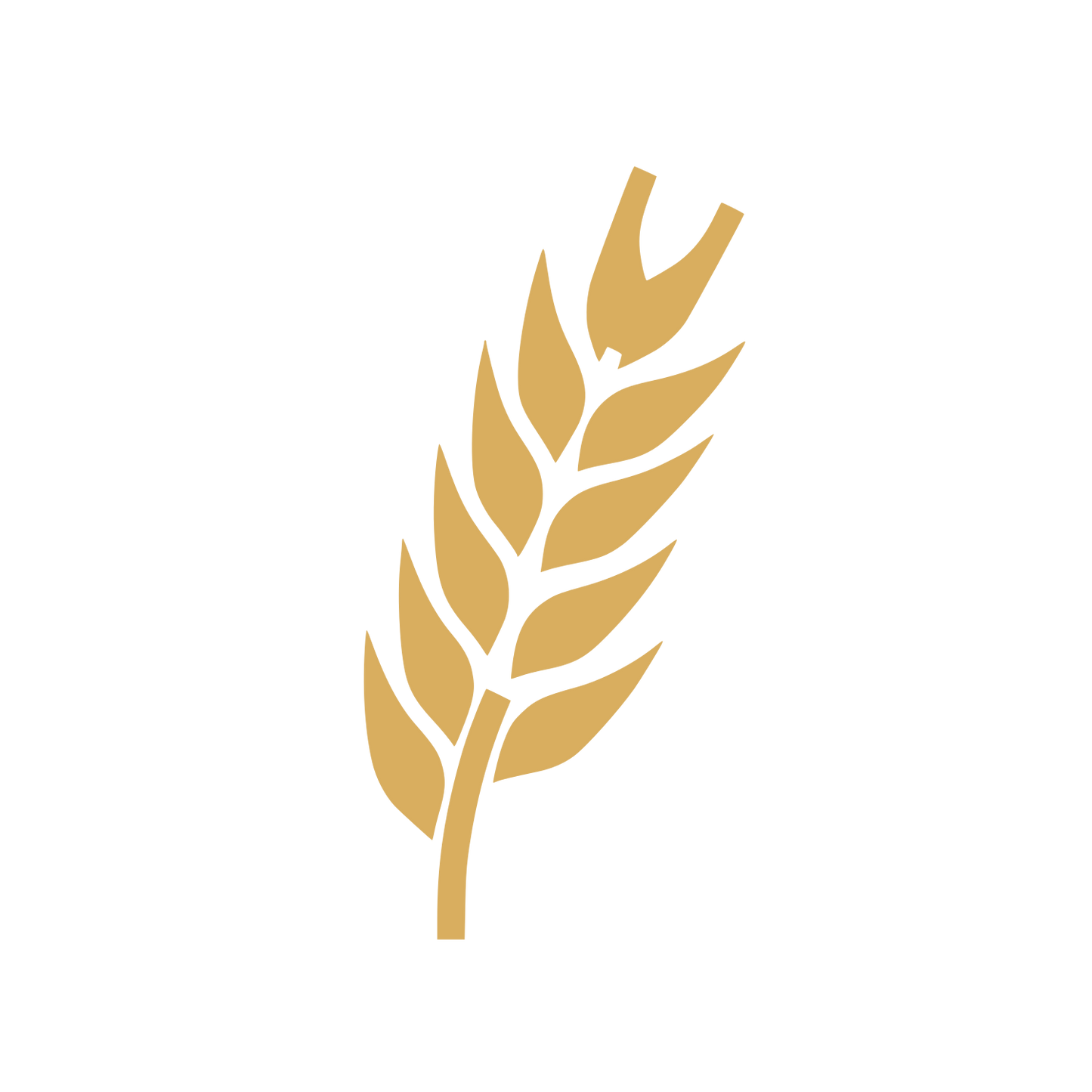 Wheat Stalk Logo #D9AE5F