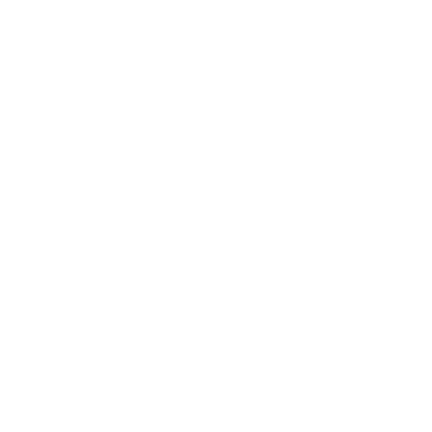 Sustainable Energy Logo #ffffff