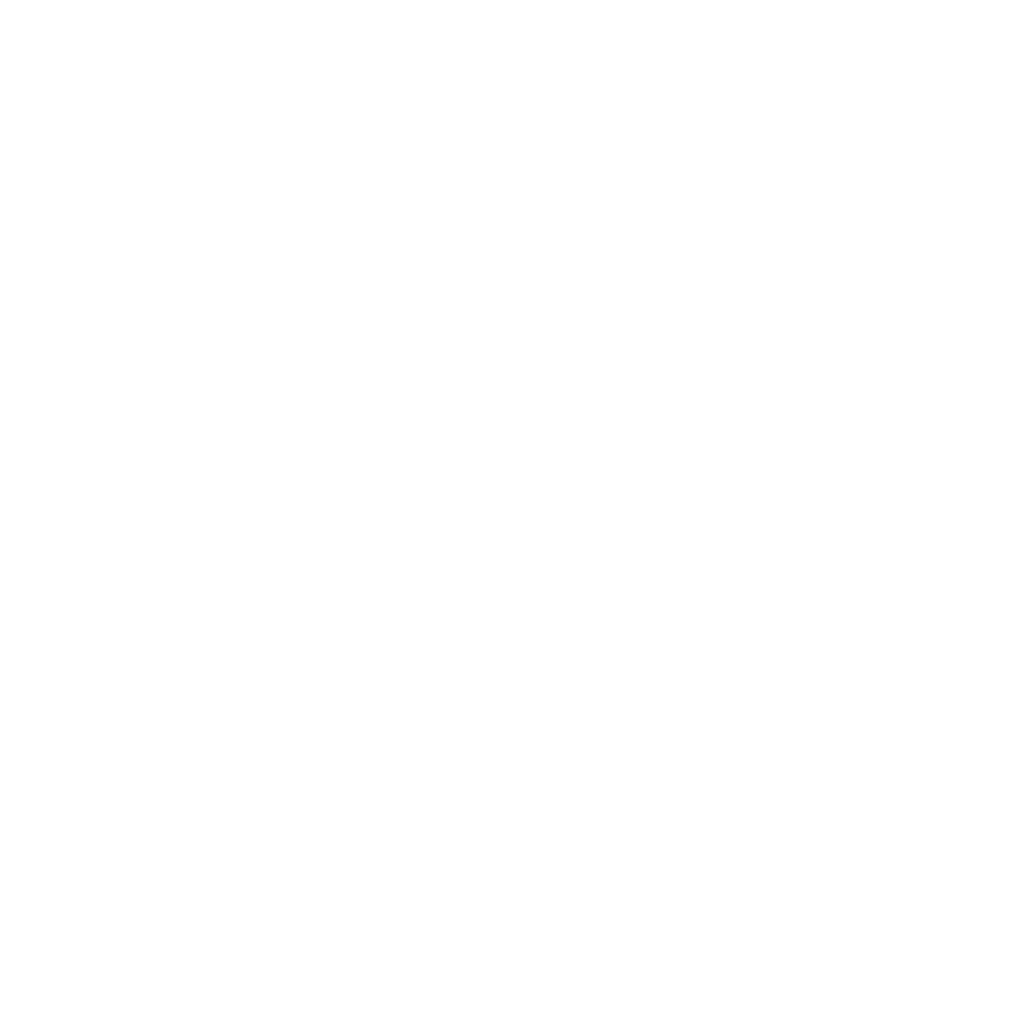 Bold Cat Logo #ffffff
