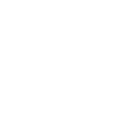 Bold Cat Logo #ffffff