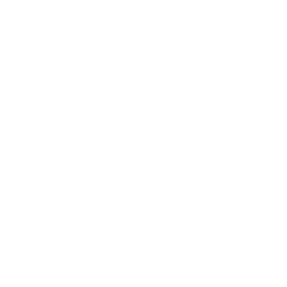 Swan Logo Design #ffffff