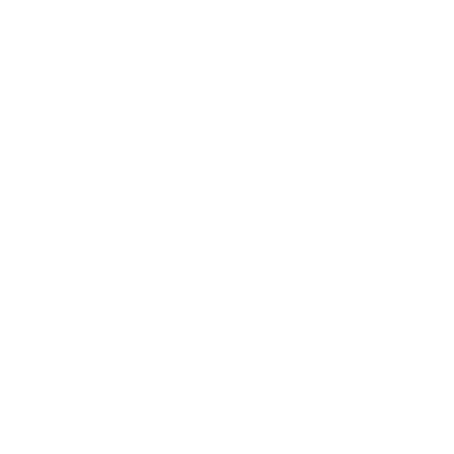 Shell Logo Design #ffffff